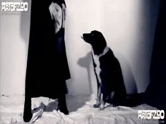 When the dog gets trapped with it, she can't live without it.
